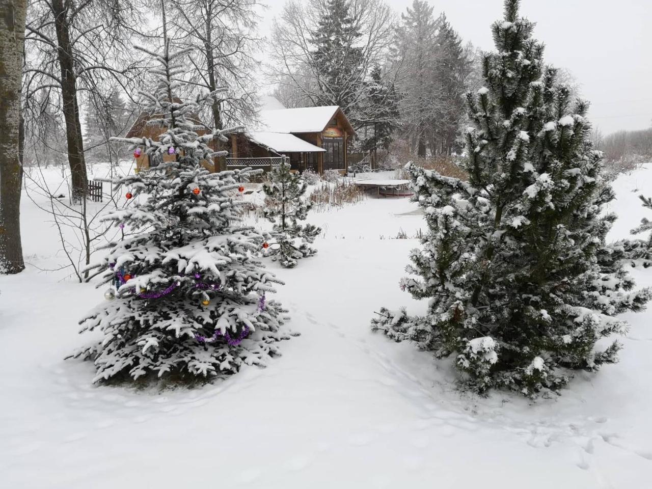 Hostal Raudonkalnis Mankiskiai Exterior foto